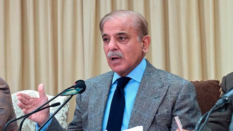 PM Shehbaz Sharif for Action to Identify Tax Evaders