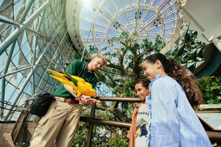 Dubai’s Thrilling Experiences for Families